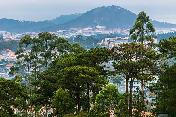 Nguyen Phuong Hotel ダラット エクステリア 写真